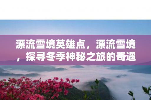 漂流雪境英雄点，漂流雪境，探寻冬季神秘之旅的奇遇与体验