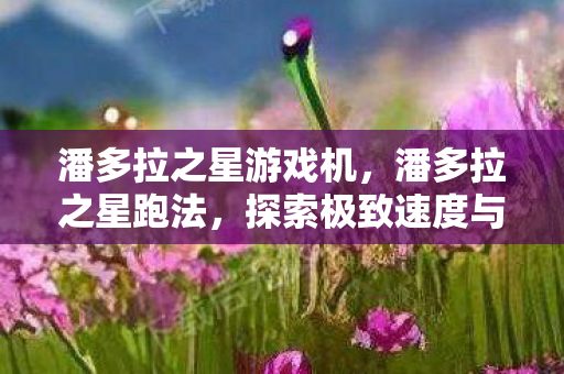 潘多拉之星游戏机，潘多拉之星跑法，探索极致速度与策略的艺术