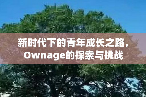 新时代下的青年成长之路,Ownage的探索与挑战 新时代下的青年成长之路,Ownage的探索与挑战