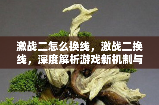 激战二怎么换线，激战二换线，深度解析游戏新机制与玩家策略