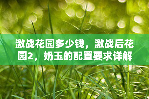 激战花园多少钱，激战后花园2，奶玉的配置要求详解