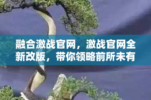 融合激战官网，激战官网全新改版，带你领略前所未有的游戏体验