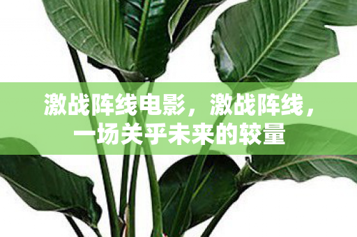 激战阵线电影,激战阵线,一场关乎未来的较量 激战阵线电影,激战阵线,一场关乎未来的较量