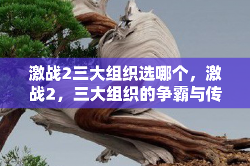 激战2三大组织选哪个,激战2,三大组织的争霸与传奇 激战2三大组织选哪个,激战2,三大组织的争霸与传奇