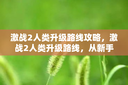 激战2人类升级路线攻略,激战2人类升级路线,从新手到巅峰的攻略指南 激战2人类升级路线攻略,激战2人类升级路线,从新手到巅峰的攻略指南