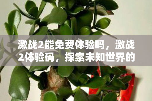 激战2能免费体验吗,激战2体验码,探索未知世界的奇幻之旅 激战2能免费体验吗,激战2体验码,探索未知世界的奇幻之旅