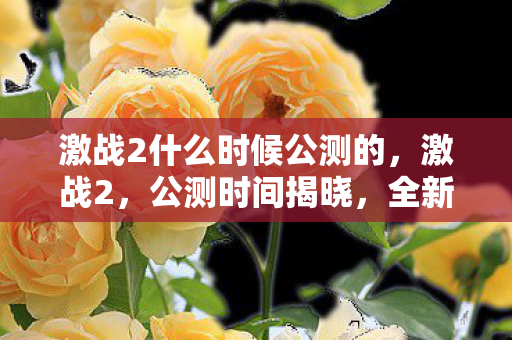 激战2什么时候公测的,激战2,公测时间揭晓,全新世界等你来战! 激战2什么时候公测的,激战2,公测时间揭晓,全新世界等你来战!