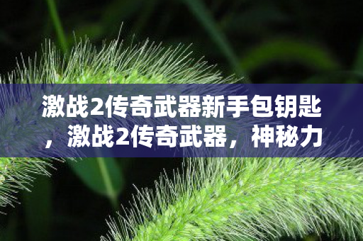 激战2传奇武器新手包钥匙,激战2传奇武器,神秘力量的象征 激战2传奇武器新手包钥匙,激战2传奇武器,神秘力量的象征