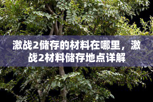 激战2储存的材料在哪里,激战2材料储存地点详解 激战2储存的材料在哪里,激战2材料储存地点详解