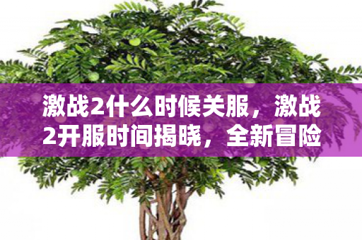激战2什么时候关服，激战2开服时间揭晓，全新冒险等你开启！