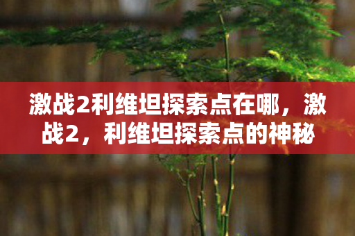 激战2利维坦探索点在哪，激战2，利维坦探索点的神秘之旅