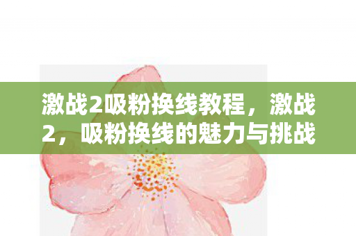 激战2吸粉换线教程，激战2，吸粉换线的魅力与挑战