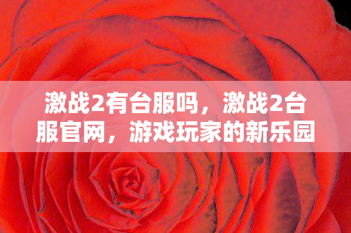激战2有台服吗，激战2台服官网，游戏玩家的新乐园