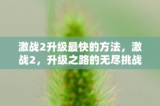 激战2升级最快的方法,激战2,升级之路的无尽挑战与荣耀 激战2升级最快的方法,激战2,升级之路的无尽挑战与荣耀