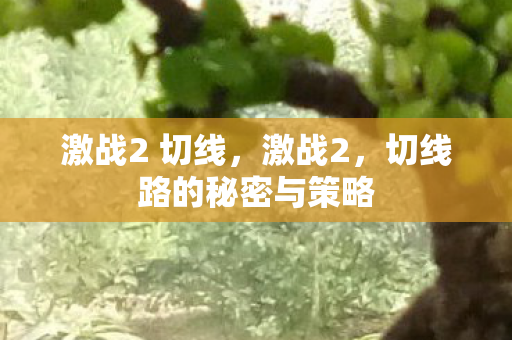 激战2 切线，激战2，切线路的秘密与策略