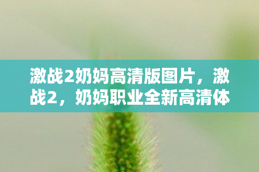 激战2奶妈高清版图片,激战2,奶妈职业全新高清体验 激战2奶妈高清版图片,激战2,奶妈职业全新高清体验