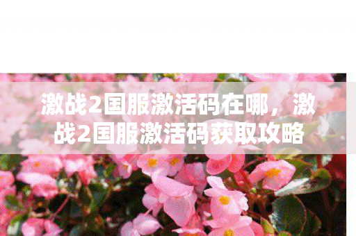 激战2国服激活码在哪,激战2国服激活码获取攻略 激战2国服激活码在哪,激战2国服激活码获取攻略