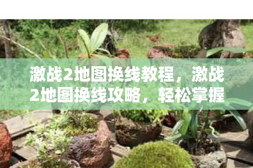 激战2地图换线教程，激战2地图换线攻略，轻松掌握换线技巧，助你畅游游戏世界