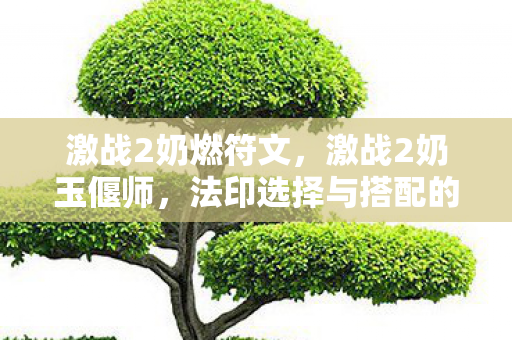 激战2奶燃符文,激战2奶玉偃师,法印选择与搭配的艺术 激战2奶燃符文,激战2奶玉偃师,法印选择与搭配的艺术