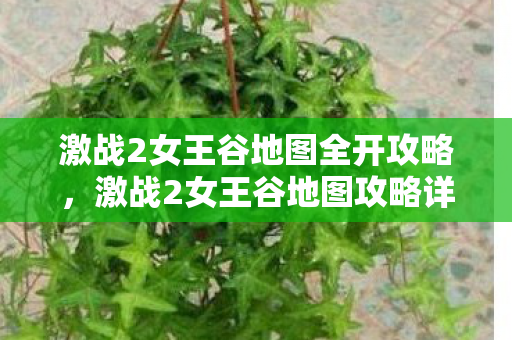 激战2女王谷地图全开攻略,激战2女王谷地图攻略详解 激战2女王谷地图全开攻略,激战2女王谷地图攻略详解