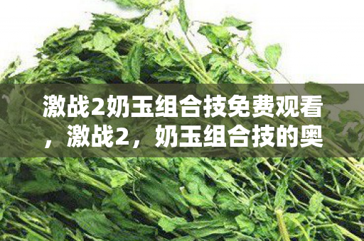 激战2奶玉组合技免费观看,激战2,奶玉组合技的奥秘与实战解析 激战2奶玉组合技免费观看,激战2,奶玉组合技的奥秘与实战解析