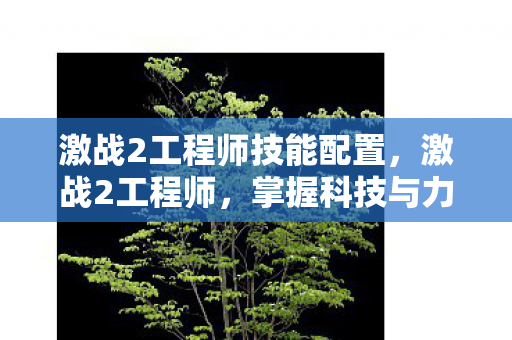激战2工程师技能配置,激战2工程师,掌握科技与力量的完美结合 激战2工程师技能配置,激战2工程师,掌握科技与力量的完美结合