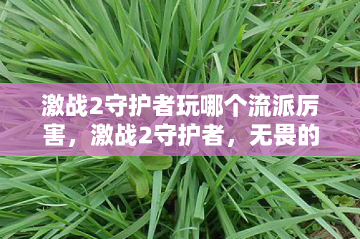 激战2守护者玩哪个流派厉害，激战2守护者，无畏的守护者，引领战斗潮流的先锋