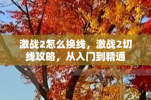 激战2怎么换线,激战2切线攻略,从入门到精通 激战2怎么换线,激战2切线攻略,从入门到精通