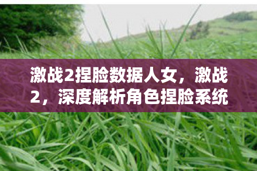 激战2捏脸数据人女,激战2,深度解析角色捏脸系统 激战2捏脸数据人女,激战2,深度解析角色捏脸系统