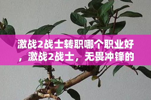 激战2战士转职哪个职业好,激战2战士,无畏冲锋的荣耀战场 激战2战士转职哪个职业好,激战2战士,无畏冲锋的荣耀战场
