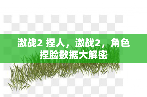 激战2 捏人,激战2,角色捏脸数据大解密 激战2 捏人,激战2,角色捏脸数据大解密