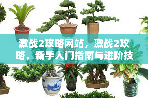 激战2攻略网站,激战2攻略,新手入门指南与进阶技巧 激战2攻略网站,激战2攻略,新手入门指南与进阶技巧