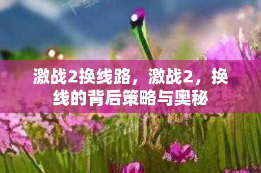 激战2换线路,激战2,换线的背后策略与奥秘 激战2换线路,激战2,换线的背后策略与奥秘