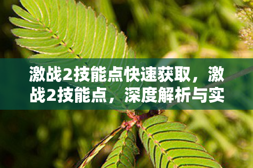 激战2技能点快速获取,激战2技能点,深度解析与实战应用策略 激战2技能点快速获取,激战2技能点,深度解析与实战应用策略