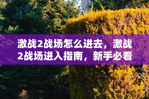 激战2战场怎么进去,激战2战场进入指南,新手必看的攻略 激战2战场怎么进去,激战2战场进入指南,新手必看的攻略