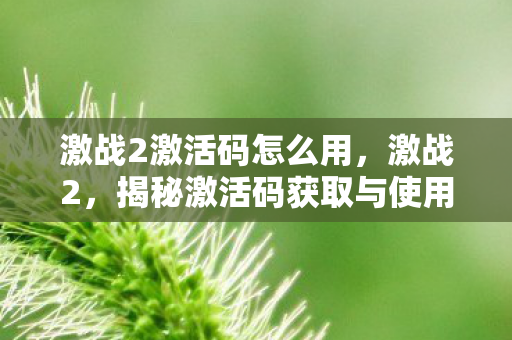 激战2激活码怎么用,激战2,揭秘激活码获取与使用全攻略 激战2激活码怎么用,激战2,揭秘激活码获取与使用全攻略
