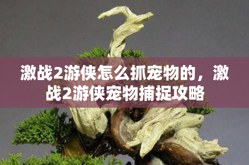 激战2游侠怎么抓宠物的,激战2游侠宠物捕捉攻略 激战2游侠怎么抓宠物的,激战2游侠宠物捕捉攻略