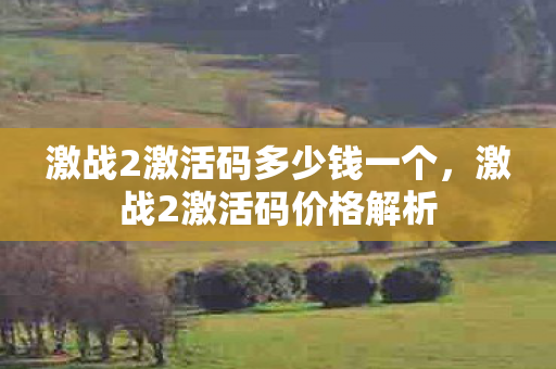 激战2激活码多少钱一个，激战2激活码价格解析