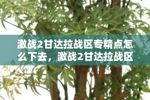 激战2甘达拉战区专精点怎么下去,激战2甘达拉战区,战火重燃的传奇战场 激战2甘达拉战区专精点怎么下去,激战2甘达拉战区,战火重燃的传奇战场