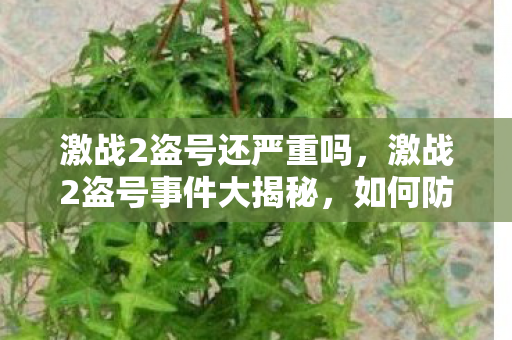 激战2盗号还严重吗,激战2盗号事件大揭秘,如何防范游戏账号被盗? 激战2盗号还严重吗,激战2盗号事件大揭秘,如何防范游戏账号被盗?