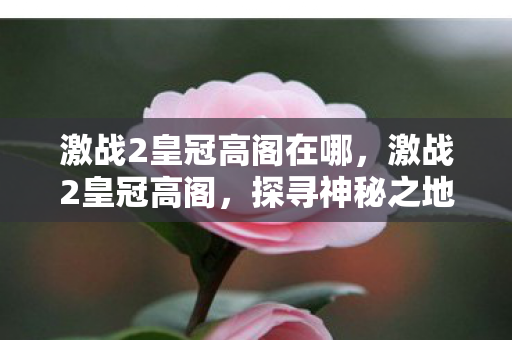 激战2皇冠高阁在哪,激战2皇冠高阁,探寻神秘之地与无尽挑战 激战2皇冠高阁在哪,激战2皇冠高阁,探寻神秘之地与无尽挑战
