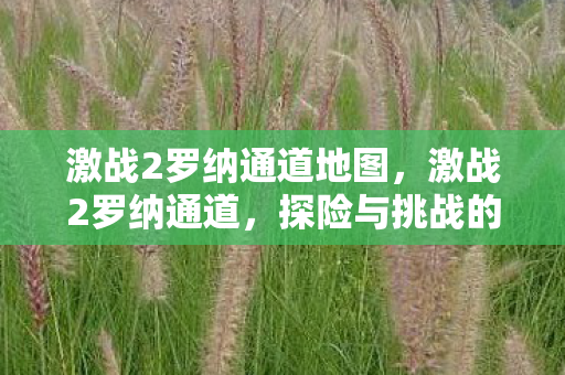 激战2罗纳通道地图,激战2罗纳通道,探险与挑战的交汇点 激战2罗纳通道地图,激战2罗纳通道,探险与挑战的交汇点