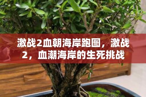 激战2血朝海岸跑图，激战2，血潮海岸的生死挑战