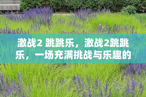 激战2 跳跳乐,激战2跳跳乐,一场充满挑战与乐趣的冒险之旅 激战2 跳跳乐,激战2跳跳乐,一场充满挑战与乐趣的冒险之旅