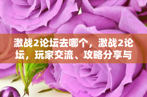 激战2论坛去哪个,激战2论坛,玩家交流、攻略分享与游戏内外的精彩互动 激战2论坛去哪个,激战2论坛,玩家交流、攻略分享与游戏内外的精彩互动