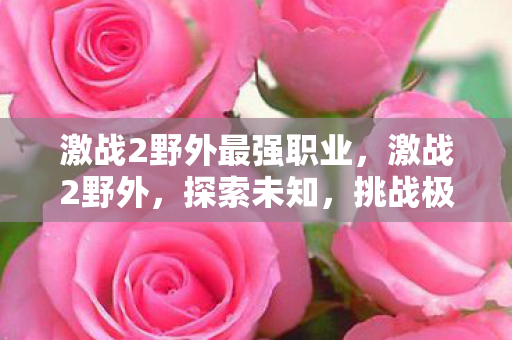 激战2野外最强职业,激战2野外,探索未知,挑战极限 激战2野外最强职业,激战2野外,探索未知,挑战极限