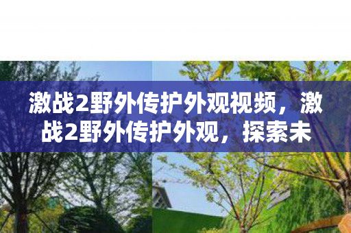 激战2野外传护外观视频,激战2野外传护外观,探索未知的视觉盛宴 激战2野外传护外观视频,激战2野外传护外观,探索未知的视觉盛宴