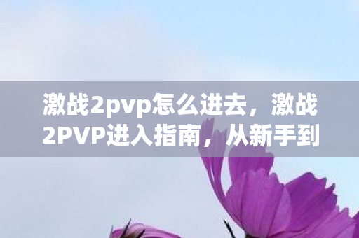 激战2pvp怎么进去，激战2PVP进入指南，从新手到高手的必经之路