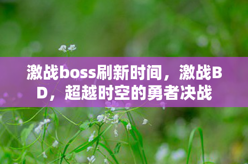 激战boss刷新时间，激战BD，超越时空的勇者决战