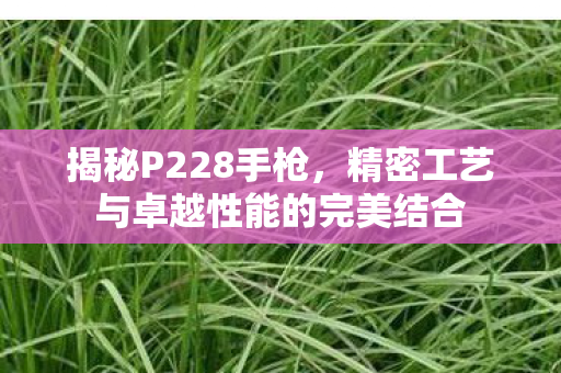 揭秘P228手枪,精密工艺与卓越性能的完美结合 揭秘P228手枪,精密工艺与卓越性能的完美结合